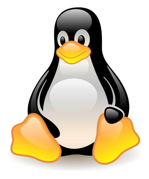 HOSTINGSERVICE.NO AS